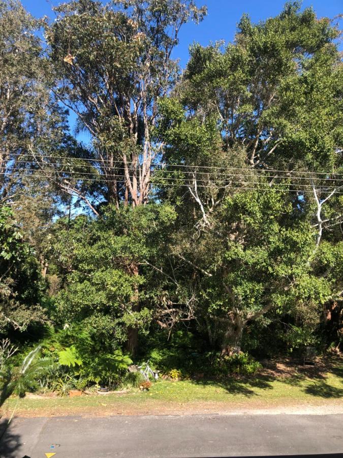 Appartement Brunswick Heads Treetop Studio Extérieur photo